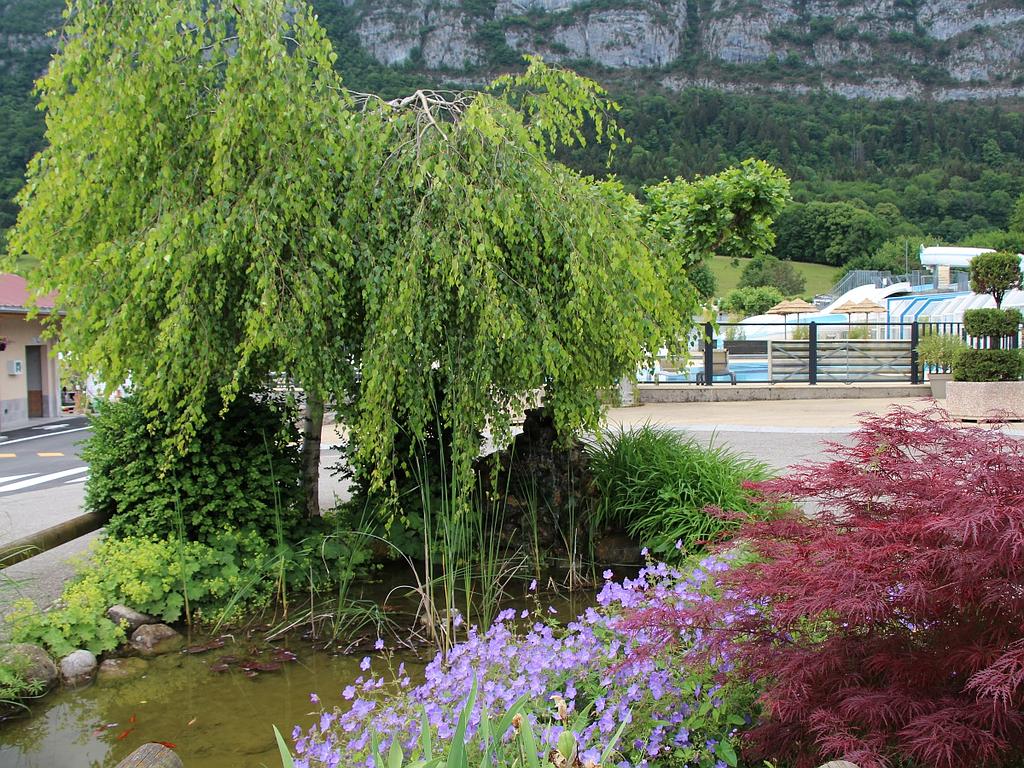 Création et entretien de jardins à Annecy