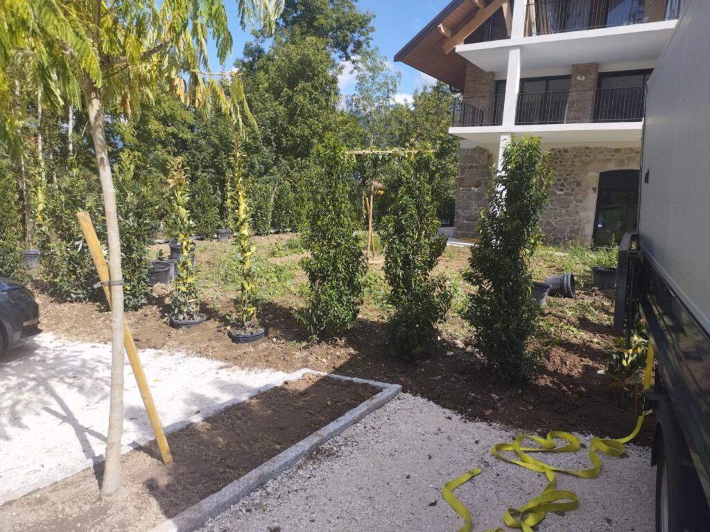 Plantation d'arbres à Annecy